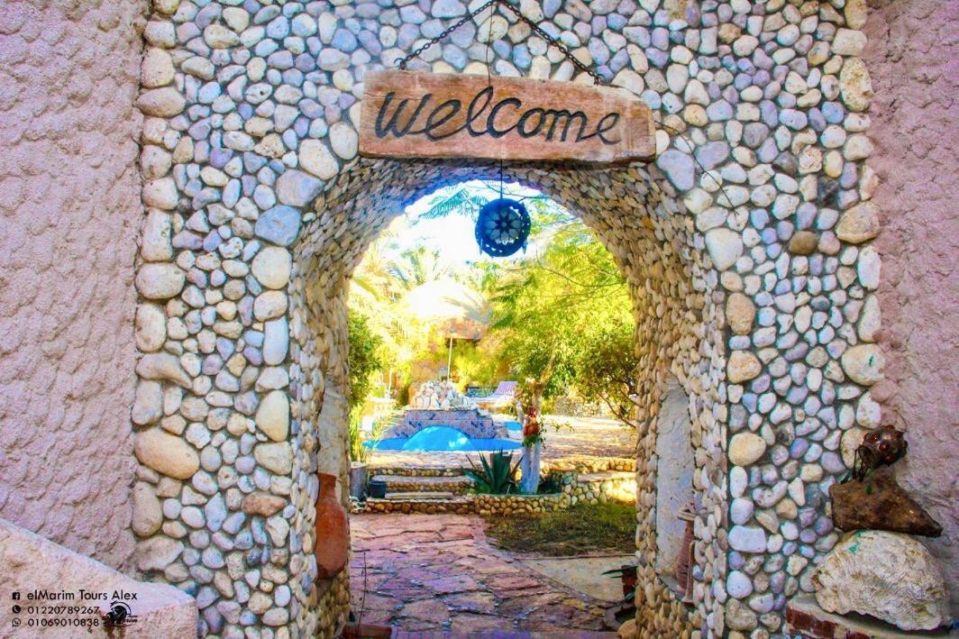 Dream Lodge Siwa Siwa Oasis Bagian luar foto