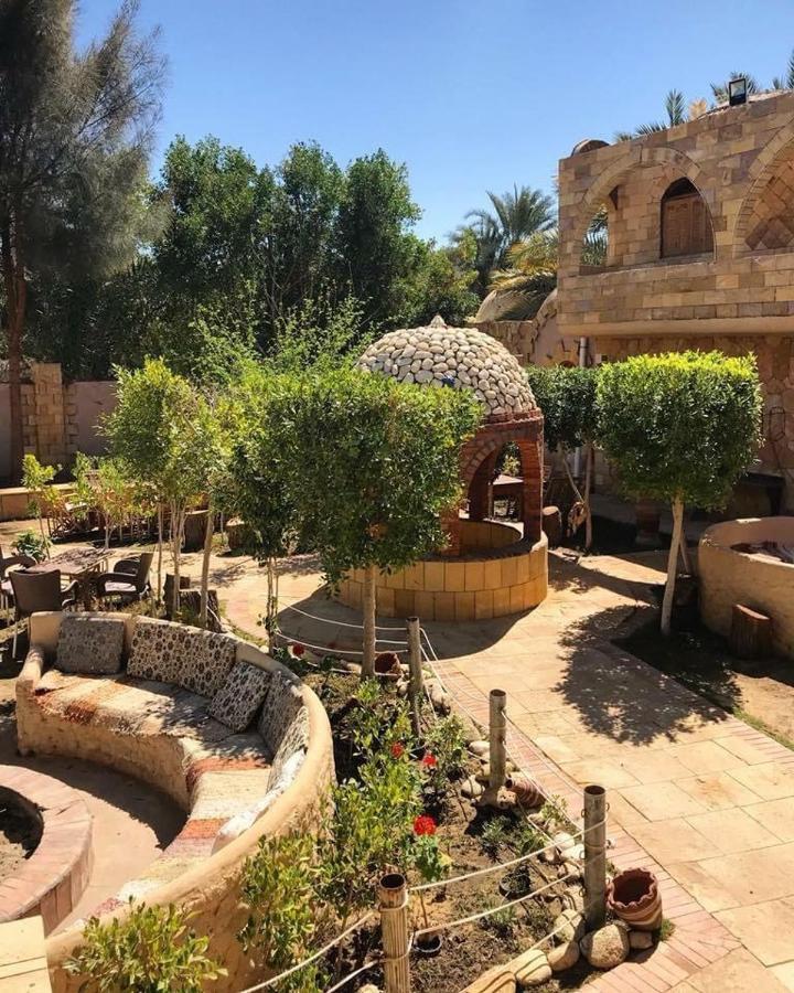Dream Lodge Siwa Siwa Oasis Bagian luar foto