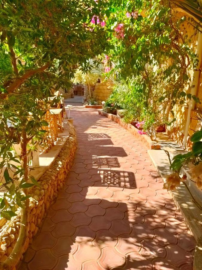 Dream Lodge Siwa Siwa Oasis Bagian luar foto