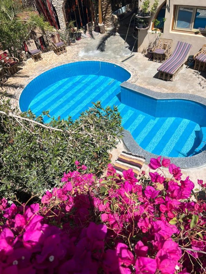 Dream Lodge Siwa Siwa Oasis Bagian luar foto